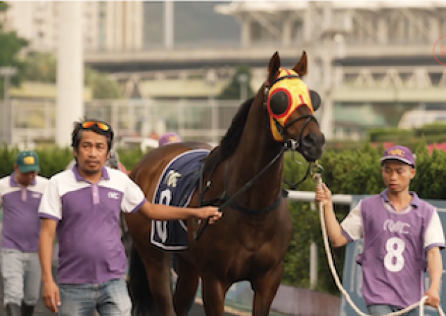 Macao’s horse racing era draws to a close as the curtain falls on the Macau Jockey Club